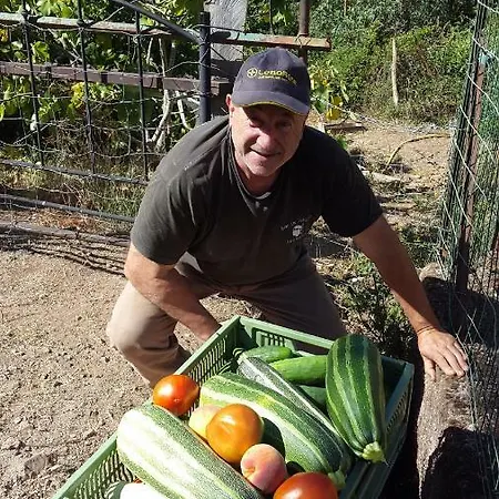Au Village Nocleg ze śniadaniem