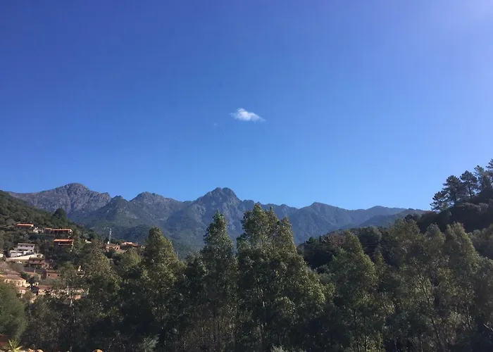 Au Village 塞雷拉