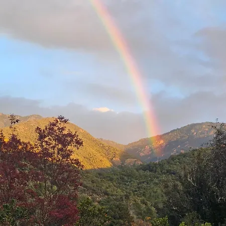 לינה וארוחת בוקר Au Village Serriera (Corsica)
