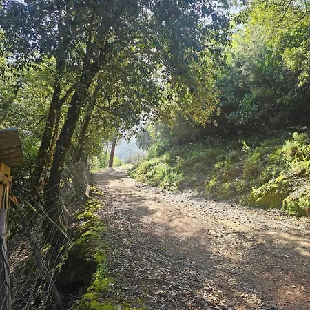 לינה וארוחת בוקר Au Village *