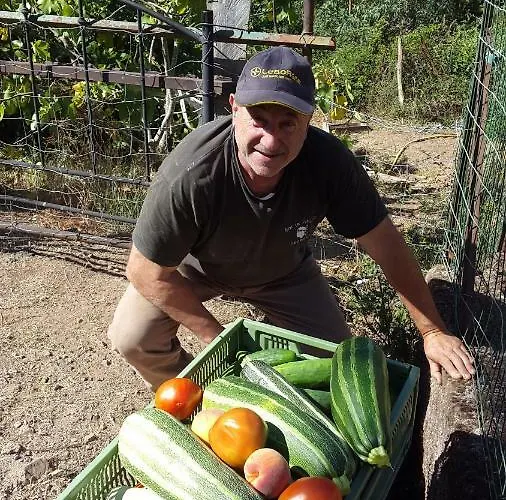 Au Village Bed & Breakfast